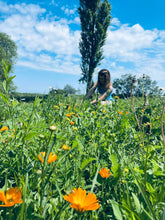 Charger l&#39;image dans la galerie, Pommade qui fait tout à la calendule
